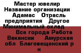 Мастер-ювелир › Название организации ­ Адамас › Отрасль предприятия ­ Другое › Минимальный оклад ­ 27 000 - Все города Работа » Вакансии   . Амурская обл.,Благовещенский р-н